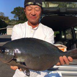 鵜来島家本渡船 釣果