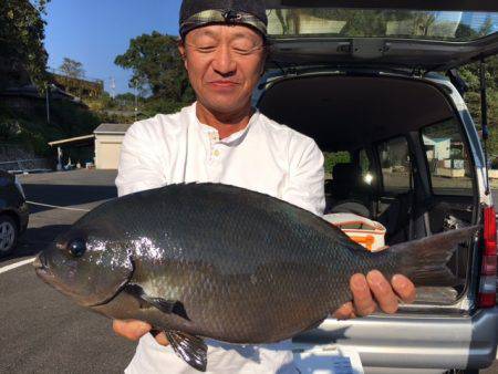 鵜来島家本渡船 釣果
