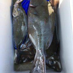 鵜来島家本渡船 釣果