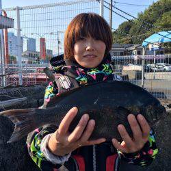 鵜来島家本渡船 釣果