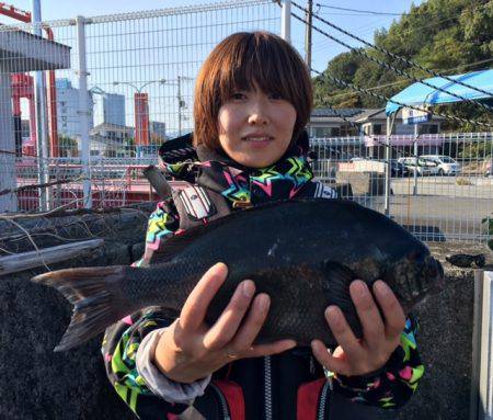 鵜来島家本渡船 釣果