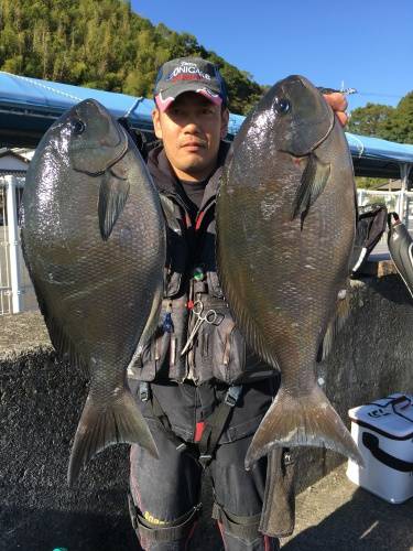 鵜来島家本渡船 釣果