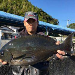 鵜来島家本渡船 釣果