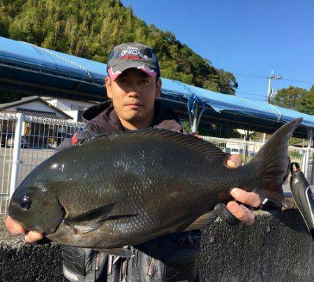 鵜来島家本渡船 釣果