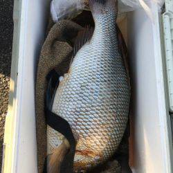 鵜来島家本渡船 釣果