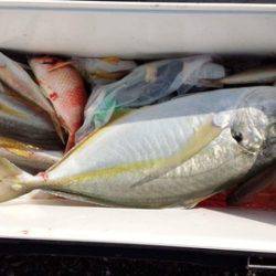 第３浜丸 釣果