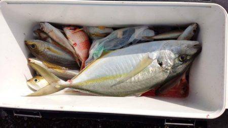 第３浜丸 釣果