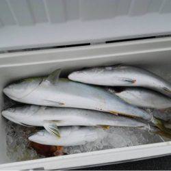 第二大福丸 釣果