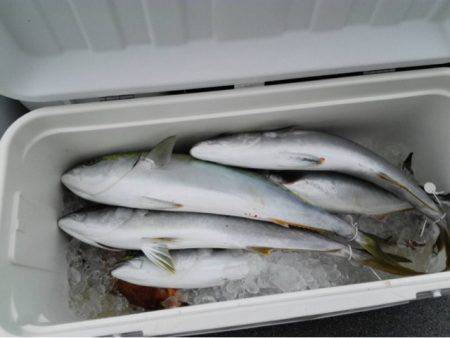 第二大福丸 釣果