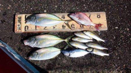 第３浜丸 釣果