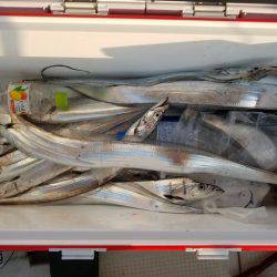 遊漁船　ニライカナイ 釣果