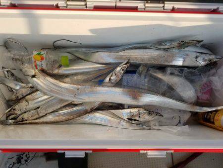 遊漁船　ニライカナイ 釣果