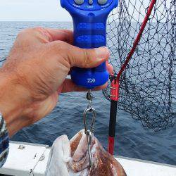 第三むつりょう丸 釣果