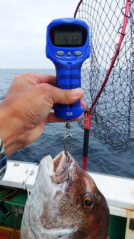 第三むつりょう丸 釣果