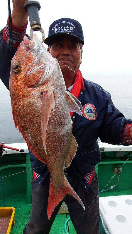 第三むつりょう丸 釣果