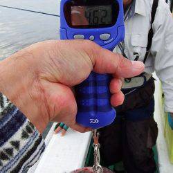 第三むつりょう丸 釣果