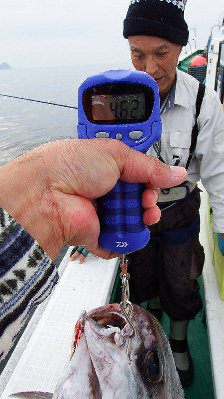 第三むつりょう丸 釣果