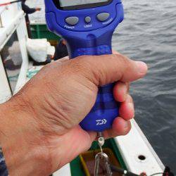 第三むつりょう丸 釣果