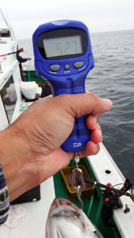 第三むつりょう丸 釣果