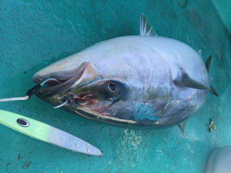 広進丸 釣果