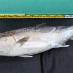 武勝丸（ぶしょうまる） 釣果