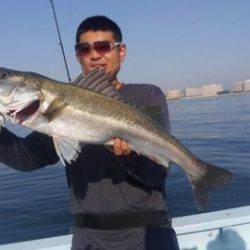 東京湾探釣隊ぼっち 釣果