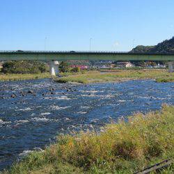狩野川(狩野川漁業協同組合) 釣果