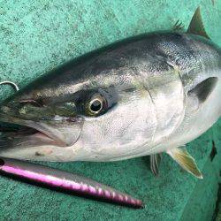 広進丸 釣果