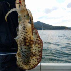 Magic(マジック) 釣果