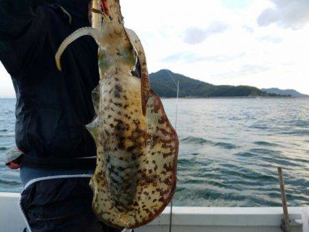 Magic(マジック) 釣果