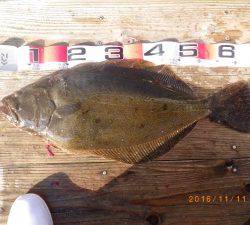 石川丸 釣果