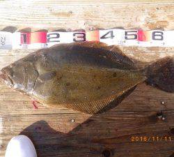石川丸 釣果