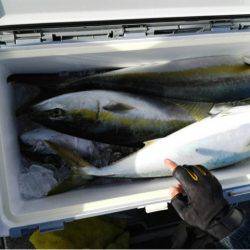 第二大福丸 釣果