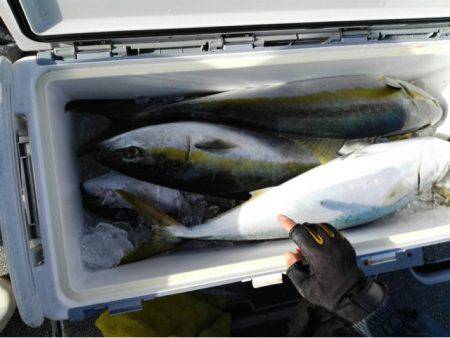 第二大福丸 釣果