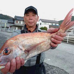 桑田観光 釣果
