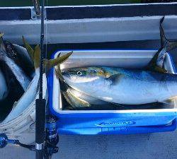 IDATEN（イダテン） 釣果