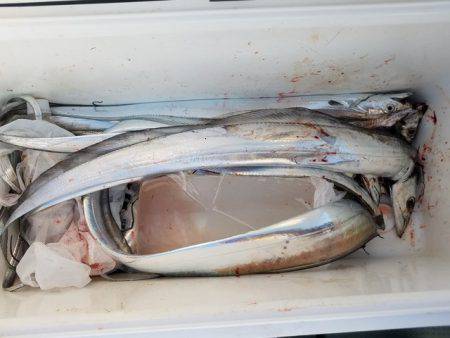 遊漁船　ニライカナイ 釣果