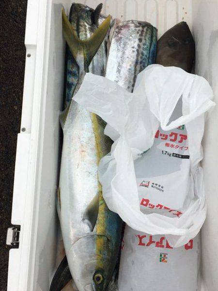 龍宮丸 釣果