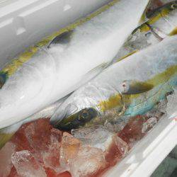 こうゆう丸 釣果