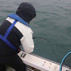 スカイマリン 釣果