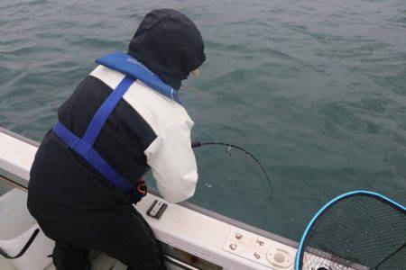 スカイマリン 釣果