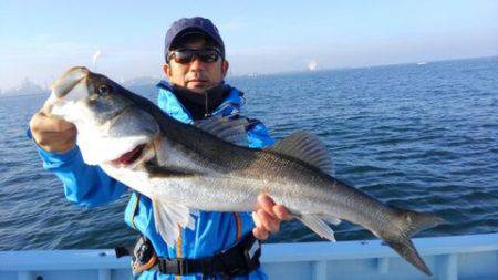東京湾探釣隊ぼっち 釣果