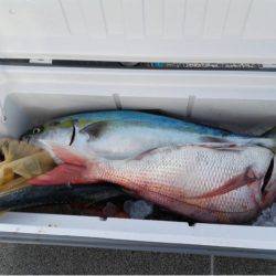 第二大福丸 釣果