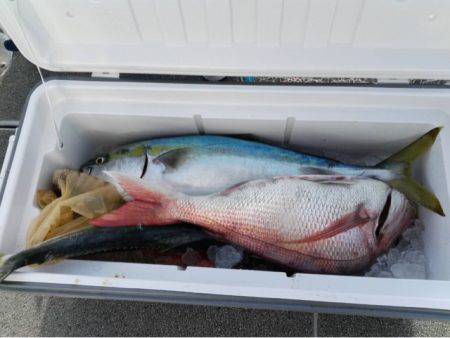 第二大福丸 釣果