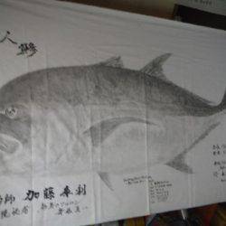 オーシャンパイオニア 釣果