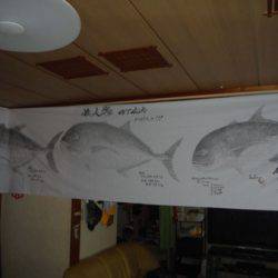 オーシャンパイオニア 釣果