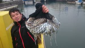 濱生丸 釣果