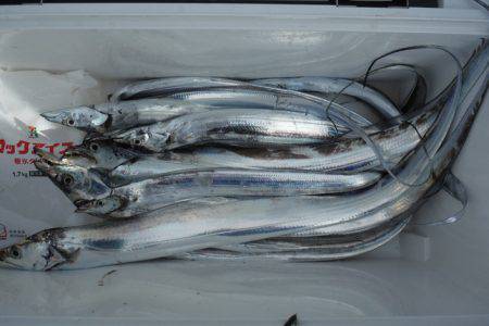 遊漁船 遊友 釣果