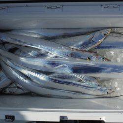 遊漁船 遊友 釣果