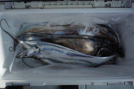 遊漁船 遊友 釣果